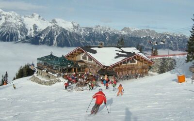 Schafalm Planai – Schütter und Schütter OEG