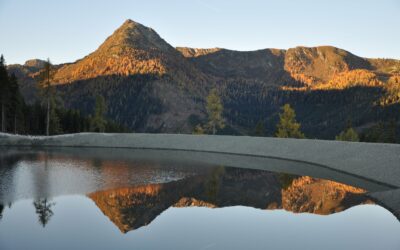 Speicherteich und Pumpstation Forsterebene